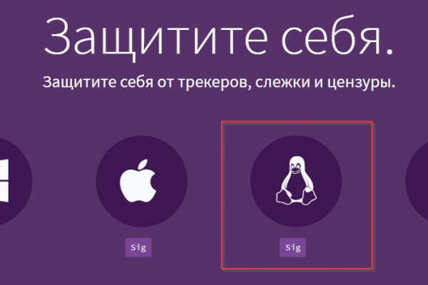 Ссылка на кракена для тора
