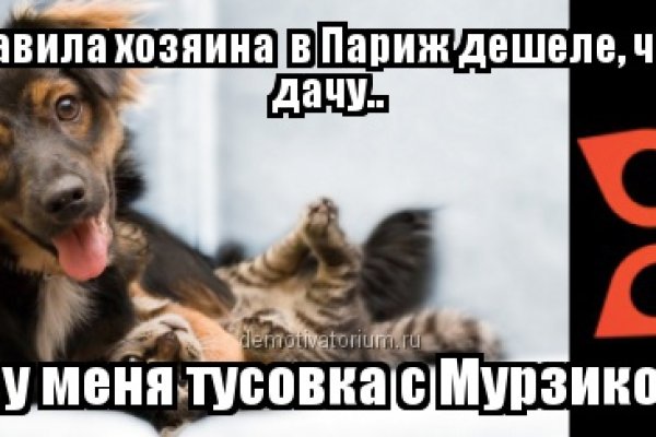 Кракен маркет whitenet