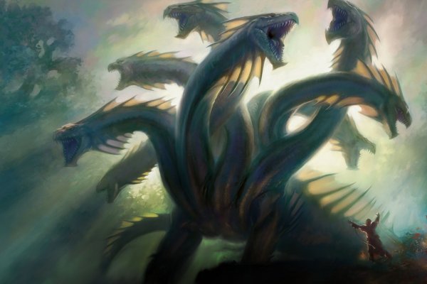 Kraken whitenet sliv php