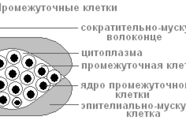Купить наркоту