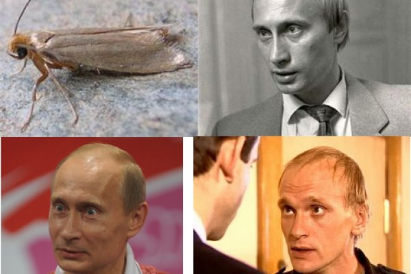Kraken com супернет