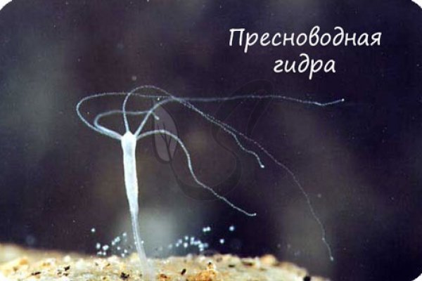 Супернет официальный сайт вход