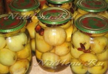 Şuruplu elmalar: konserve meyveler için basit ve lezzetli tarifler